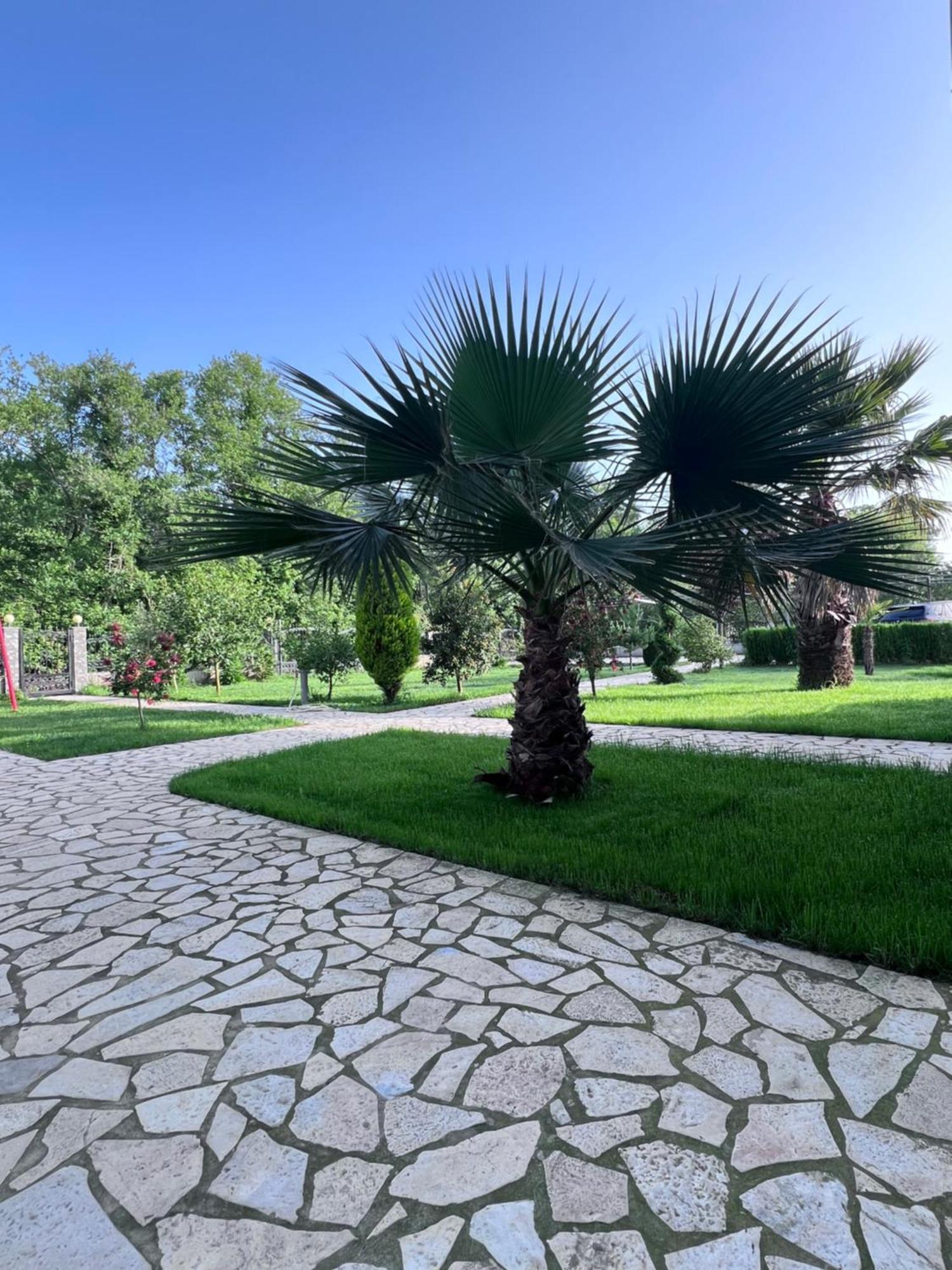 Residence Leora Ulcinj Luaran gambar